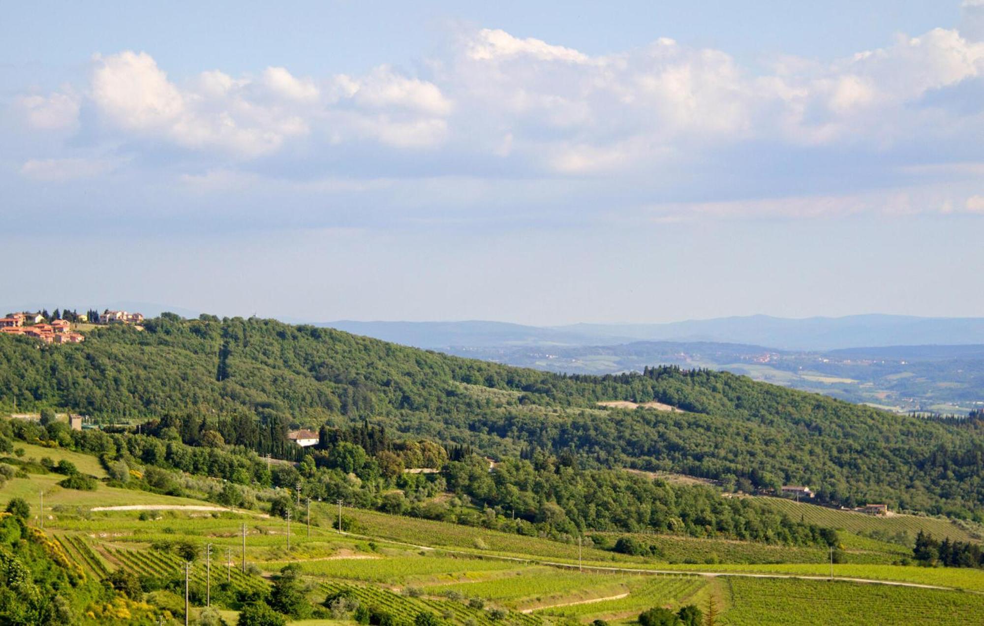Galletto Nero Panzano in Chianti Eksteriør billede